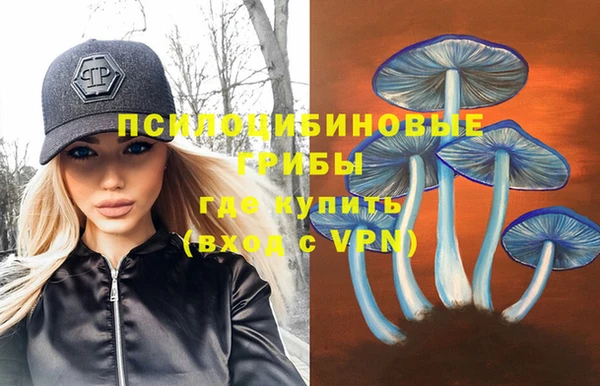 амфетамин Ладушкин