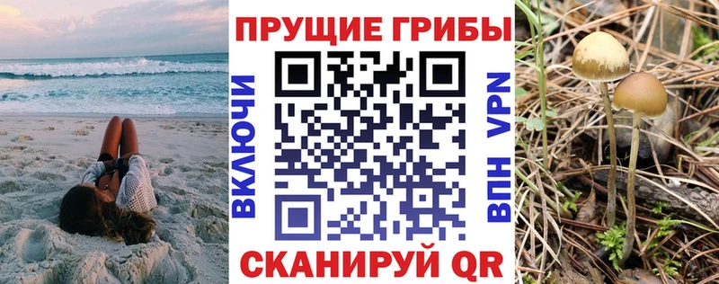 где найти мега ссылка Псилоцибиновые грибы Cubensis Юрга