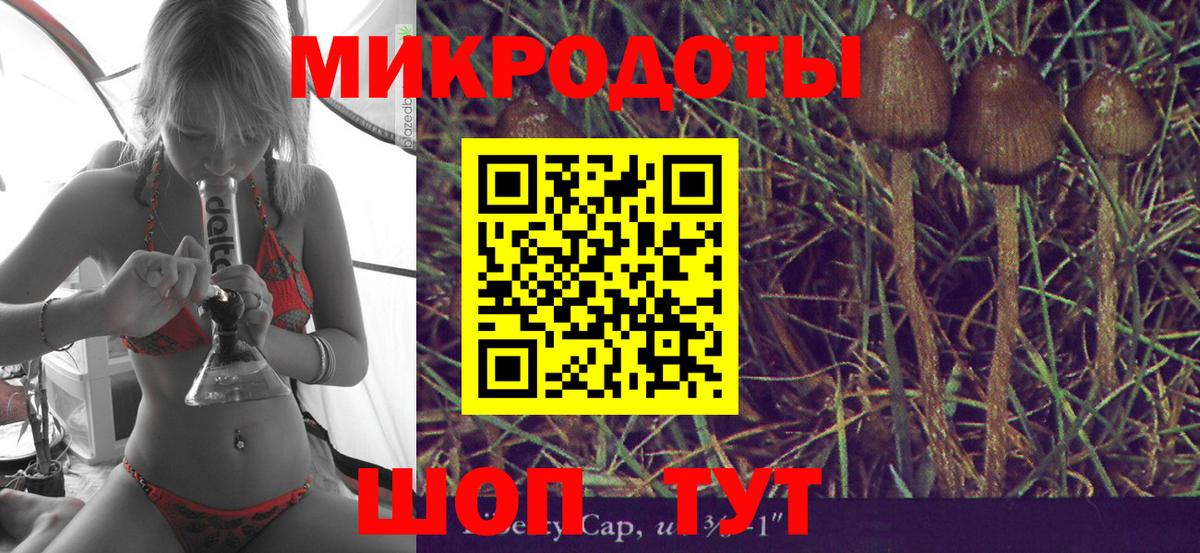 Юрга  Галлюциногенные грибы GOLDEN TEACHER  Вход с VPN 